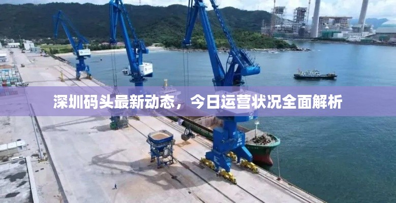 深圳码头最新动态,今日运营状况全面解析