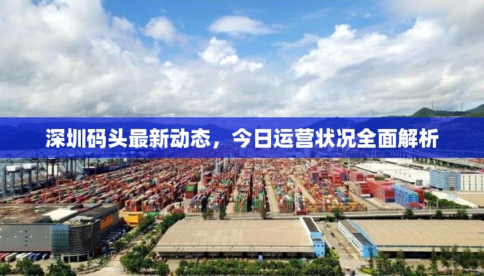 深圳码头最新动态,今日运营状况全面解析