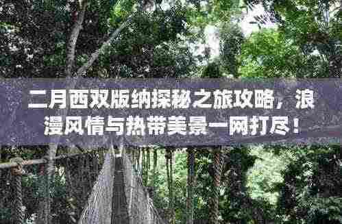 二月西双版纳探秘之旅攻略,浪漫风情与热带美景一网打尽!