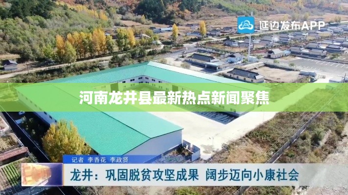 河南龙井县最新热点新闻聚焦