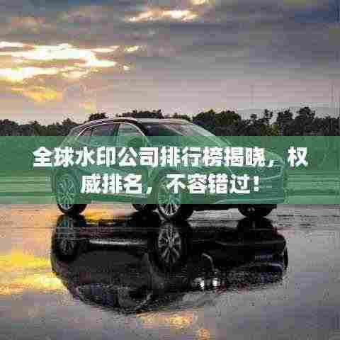 全球水印公司排行榜揭晓,权威排名,不容错过!