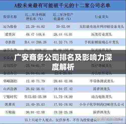 广安商务公司排名及影响力深度解析