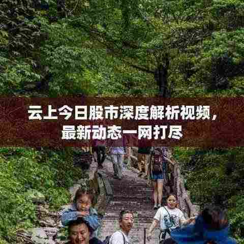云上今日股市深度解析视频,最新动态一网打尽