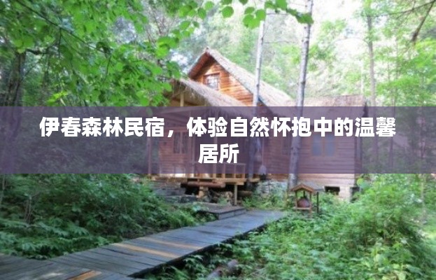 伊春森林民宿，体验自然怀抱中的温馨居所