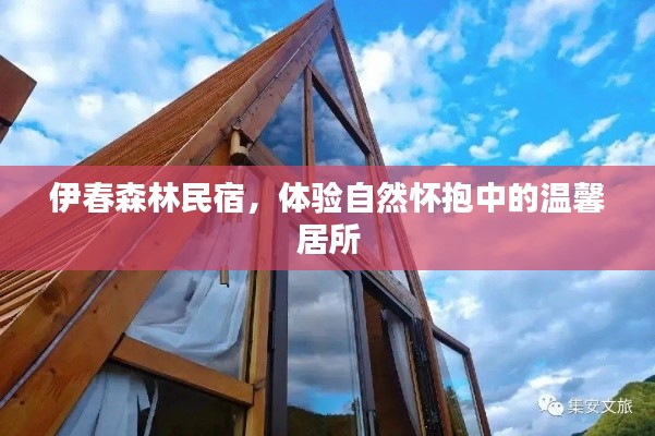 伊春森林民宿,体验自然怀抱中的温馨居所