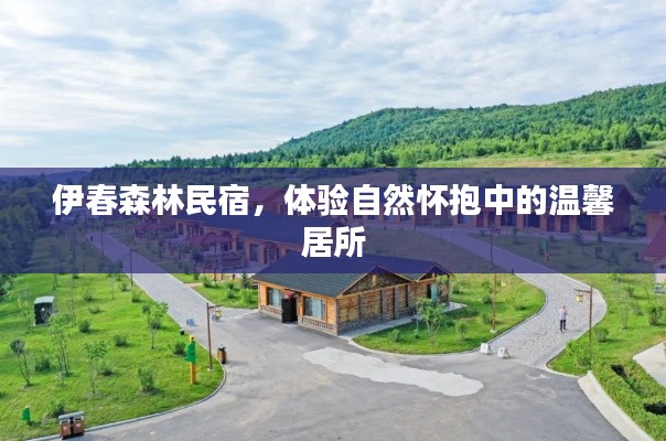 伊春森林民宿,体验自然怀抱中的温馨居所