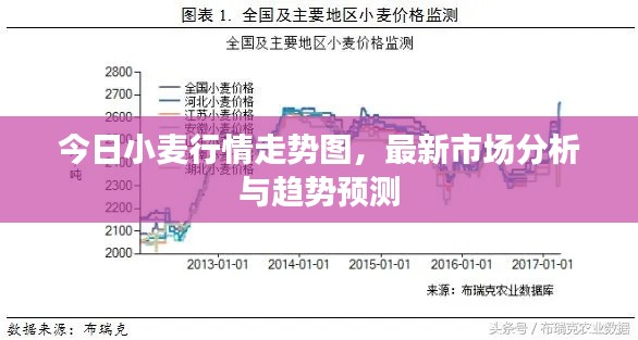 今日小麦行情走势图，最新市场分析与趋势预测