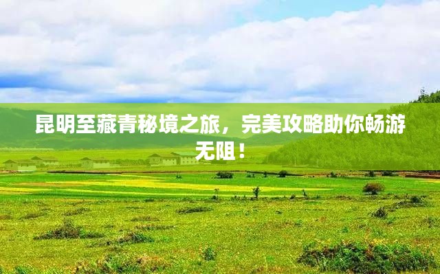 昆明至藏青秘境之旅,完美攻略助你畅游无阻!