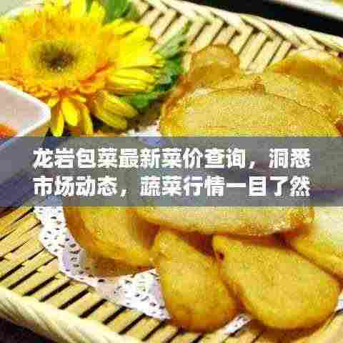 龙岩包菜最新菜价查询,洞悉市场动态,蔬菜行情一目了然