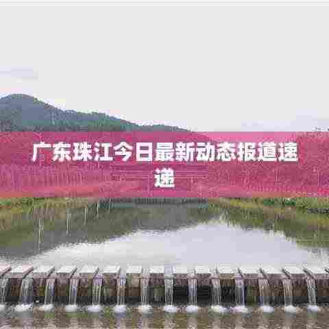 广东珠江今日最新动态报道速递