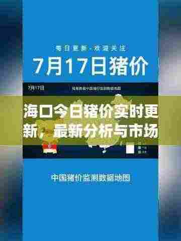 海口今日猪价实时更新，最新分析与市场动态