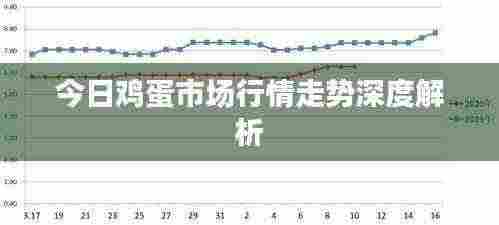 今日鸡蛋市场行情走势深度解析