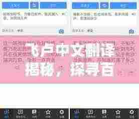 飞卢中文翻译揭秘，探寻百度背后的神秘世界