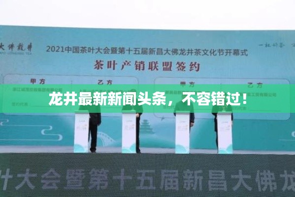 龙井最新新闻头条,不容错过!