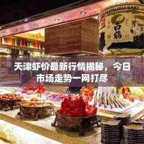 天津虾价最新行情揭秘,今日市场走势一网打尽