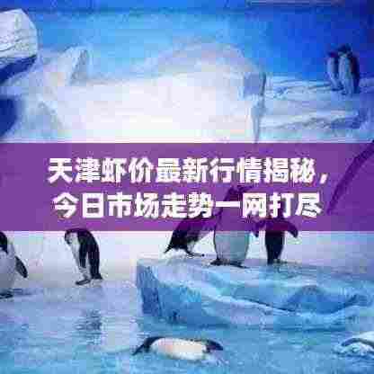 天津虾价最新行情揭秘,今日市场走势一网打尽