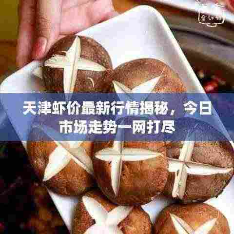 天津虾价最新行情揭秘,今日市场走势一网打尽