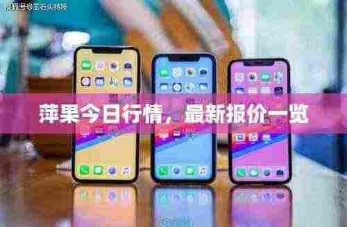 萍果今日行情，最新报价一览