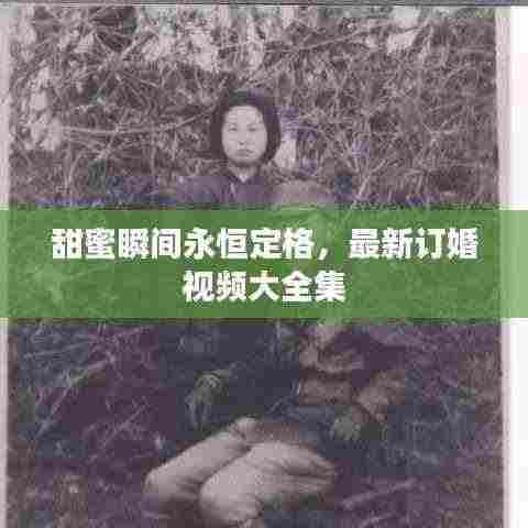 甜蜜瞬间永恒定格,最新订婚视频大全集