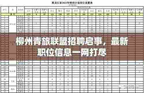 柳州青旅联盟招聘启事，最新职位信息一网打尽