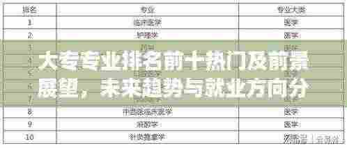 大专专业排名前十热门及前景展望，未来趋势与就业方向分析