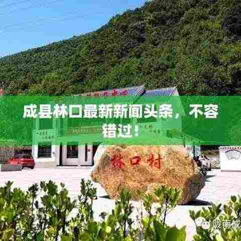 成县林口最新新闻头条，不容错过！