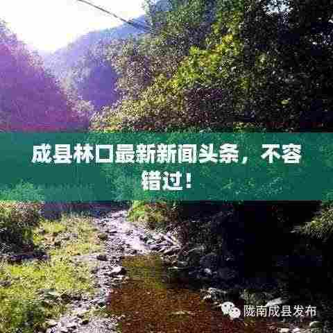 成县林口最新新闻头条,不容错过!