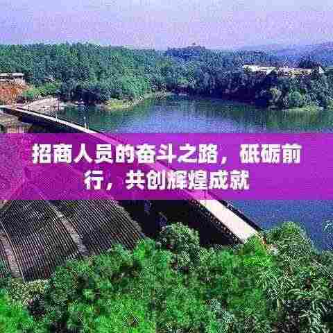 招商人员的奋斗之路,砥砺前行,共创辉煌成就