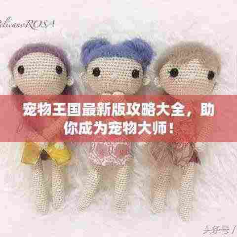 宠物王国最新版攻略大全,助你成为宠物大师!