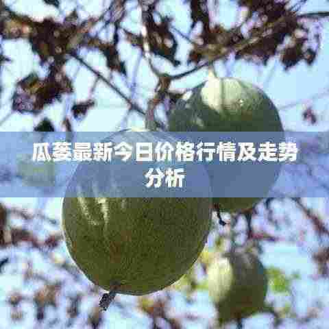 瓜蒌最新今日价格行情及走势分析