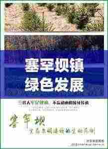 塞罕坝镇绿色发展新篇章,新闻头条聚焦生态文明建设