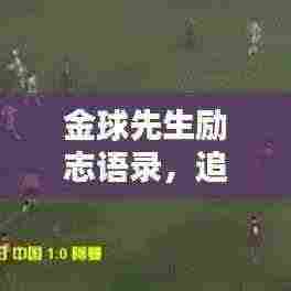 金球先生励志语录,追求卓越,永不止步