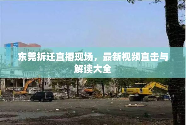 东莞拆迁直播现场,最新视频直击与解读大全