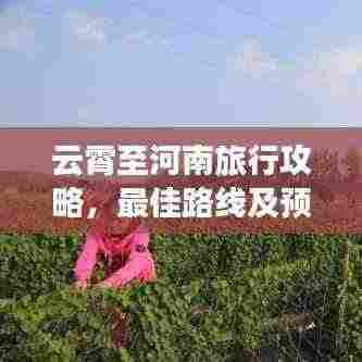 云霄至河南旅行攻略,最佳路线及预算全解析
