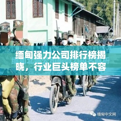 缅甸强力公司排行榜揭晓,行业巨头榜单不容错过!