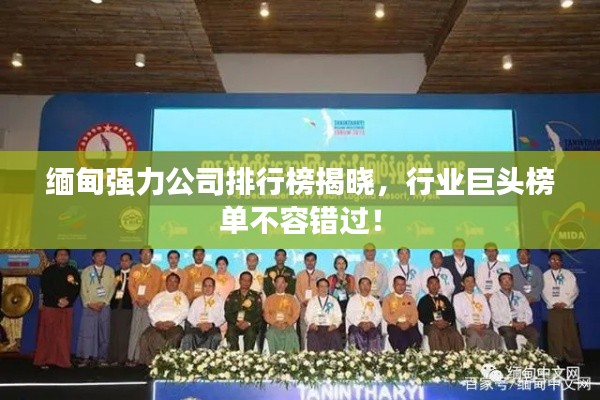 缅甸强力公司排行榜揭晓,行业巨头榜单不容错过!