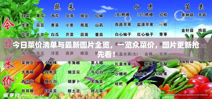 今日菜价清单与最新图片全览，一览众菜价，图片更新抢先看！