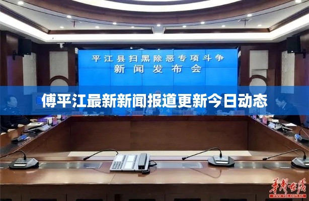 傅平江最新新闻报道更新今日动态