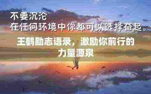 王鹤励志语录,激励你前行的力量源泉