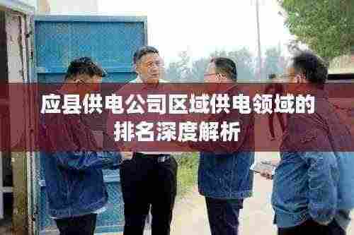 应县供电公司区域供电领域的排名深度解析