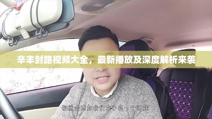 辛丰封路视频大全,最新播放及深度解析来袭