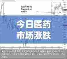 今日医药市场涨跌图表解析,洞悉动态,把握投资机遇
