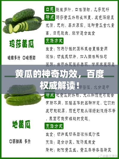 黄瓜的神奇功效,百度权威解读!