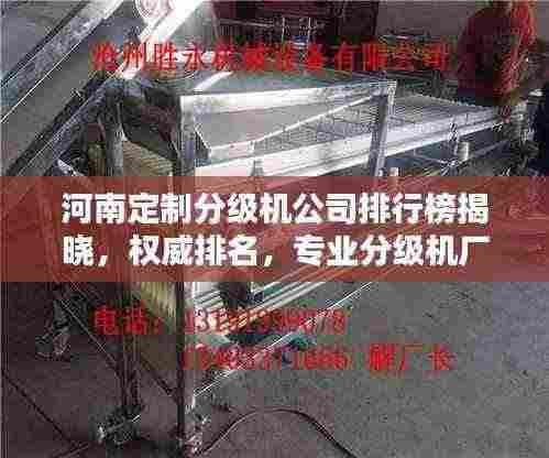 河南定制分级机公司排行榜揭晓，权威排名，专业分级机厂商一览！