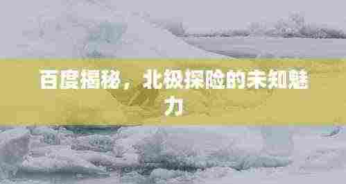 百度揭秘，北极探险的未知魅力