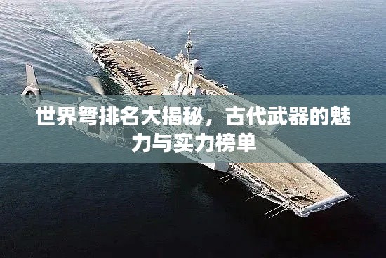世界弩排名大揭秘,古代武器的魅力与实力榜单
