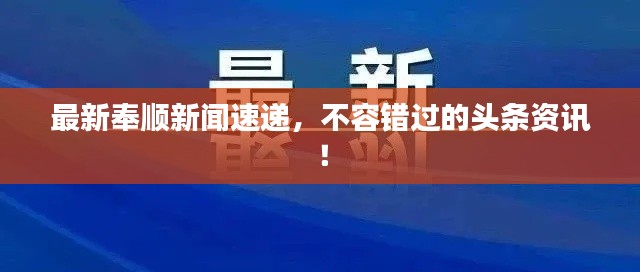 最新奉顺新闻速递，不容错过的头条资讯！