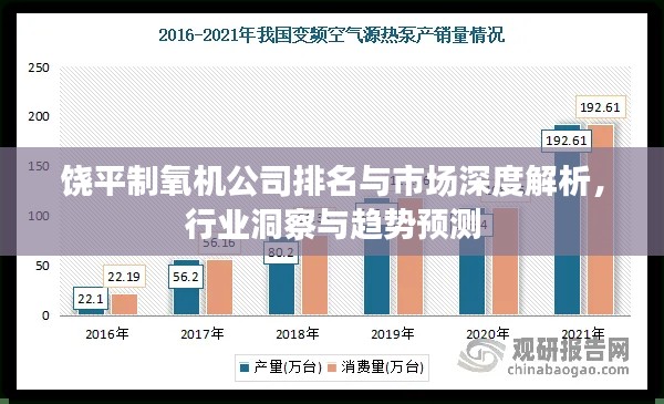 饶平制氧机公司排名与市场深度解析，行业洞察与趋势预测