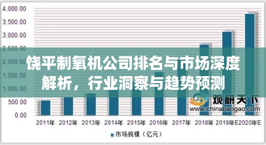 饶平制氧机公司排名与市场深度解析,行业洞察与趋势预测