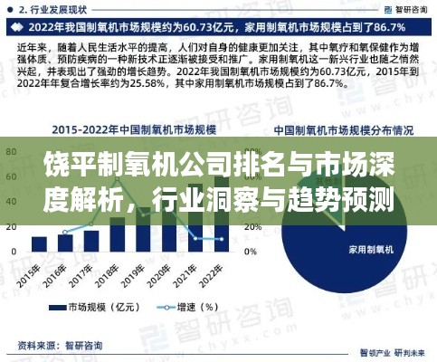 饶平制氧机公司排名与市场深度解析,行业洞察与趋势预测